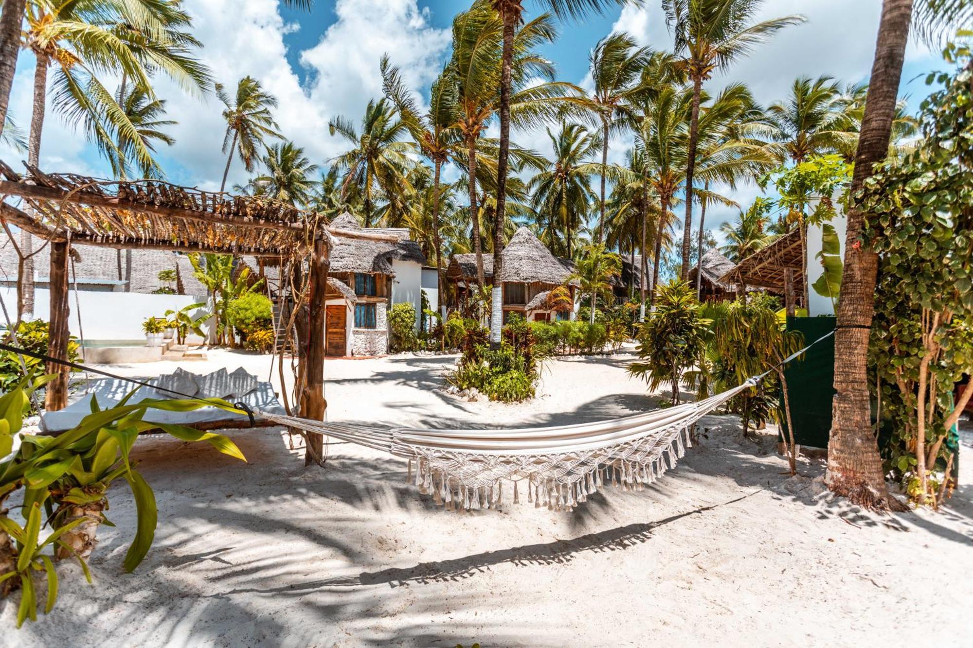 Maisha Matamu Beach Hotel Paje Exteriör bild