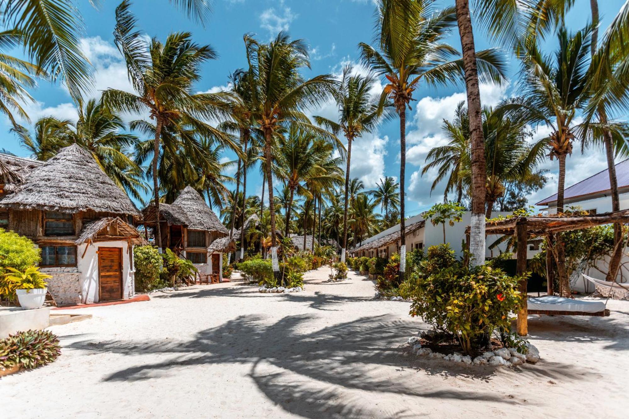 Maisha Matamu Beach Hotel Paje Exteriör bild